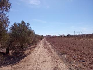 Terrain résidentiel à Pilar de la Horadada Ciudad. 5 parcelas en el pilar de la horadada ideal para mobil home