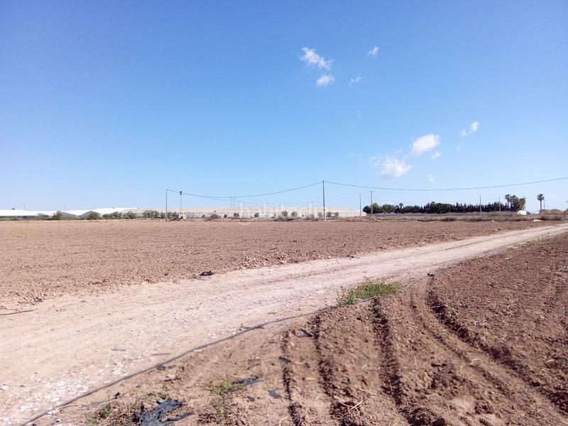 Foto c94fb192-1507-4e8e-a096-84d89a455c64. Mas dans El Mirador Pozo Aledo San Javier