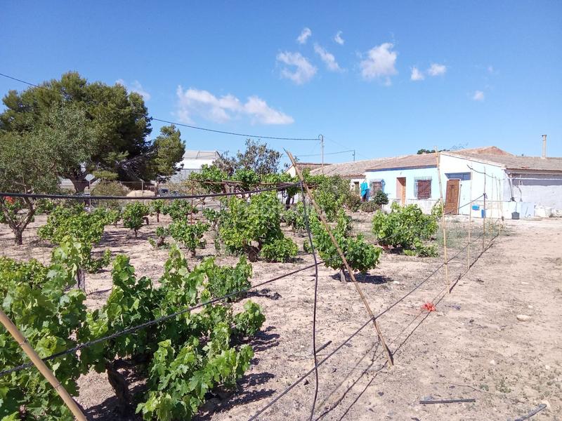 Foto ee70f3a1-c7d1-4bb0-94d1-a6152fdd73cd. Mas dans El Mirador Pozo Aledo San Javier
