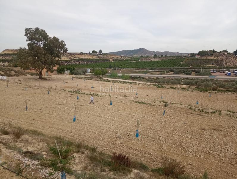 Foto f501f2f7-0bdf-4199-a026-eb5ddc833fa7. Fondo rustico in Cañadas de San Pedro Murcia