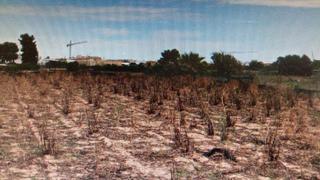 Propriété à Los villenas. Parcela de terreno rustico muy cerca del pueblo pilar de la hora