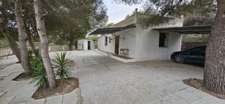 Propriété à El Pinar de Campoverde. Finca rustica registrada como casa de aperos legal en catastro