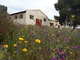 Fabrikhalle  Orihuela. Nave industrial en san pedro del pinatar como inversion o logist