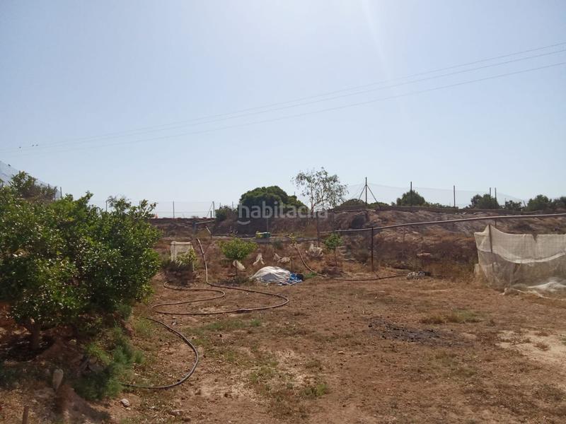 Foto 6cb3f1c0-184e-43ec-9a23-66f4ec9ae8f8. Mas dans Jerónimo y Avileses Murcia