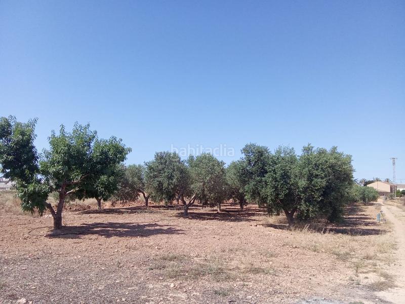 Foto c256aaaa-32bf-4935-bb47-ff8750401f43. Mas dans Jerónimo y Avileses Murcia