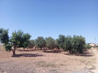 Country house in casas blancas