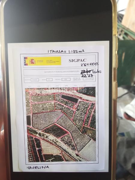 Foto 10be78a8-ecfd-452f-9a82-a7be05de46ce. Finca rústica a Benferri