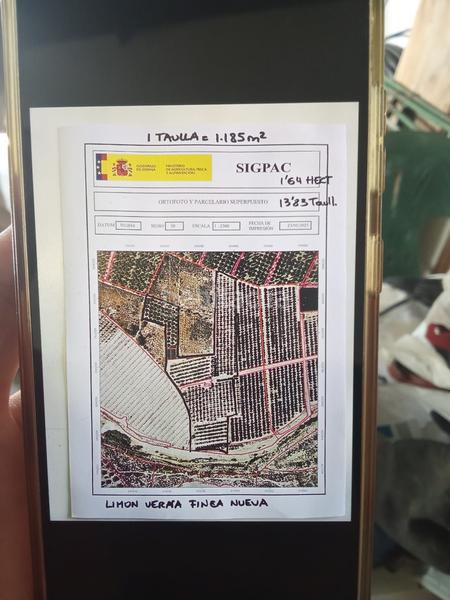 Foto 11f113ca-0cfe-4614-b0f7-a121df093dc2. Finca rústica a Benferri