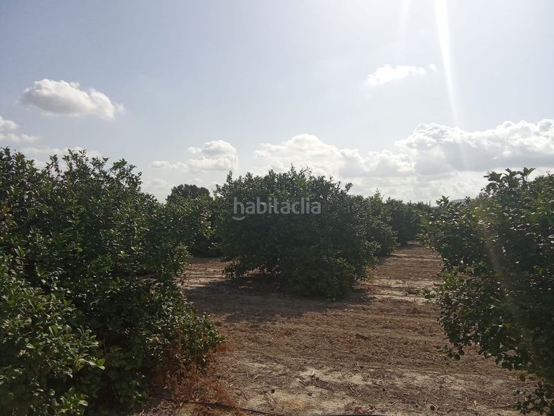 Foto 1d6a42e6-0b0c-4d55-8fb2-d0eb5a2bda80. Finca rústica a Benferri