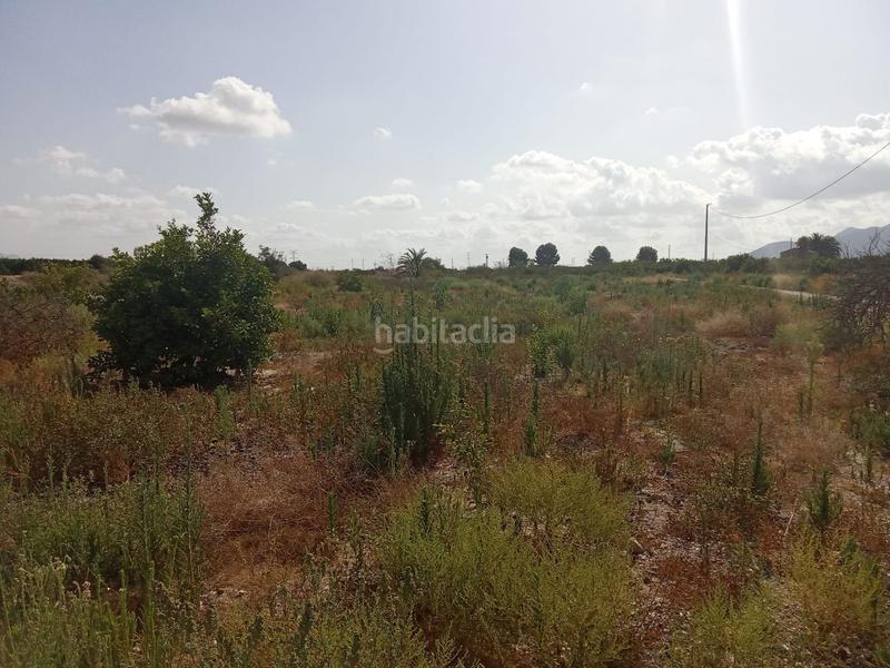 Foto 2c248cde-871e-4c79-a501-63ed0c79dac2. Finca rústica a Benferri