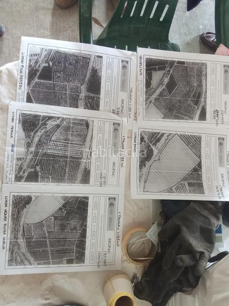 Foto 6b1f107c-81b7-4d6d-81c9-4a7be4ed8653. Finca rústica a Benferri