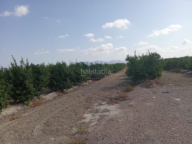 Foto 7a779948-7288-4008-a027-0044fad4a13c. Finca rústica a Benferri