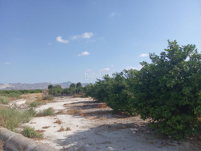 Foto 88f53306-8687-42a9-a16b-4fdd4f8fec36. Finca rústica a Benferri