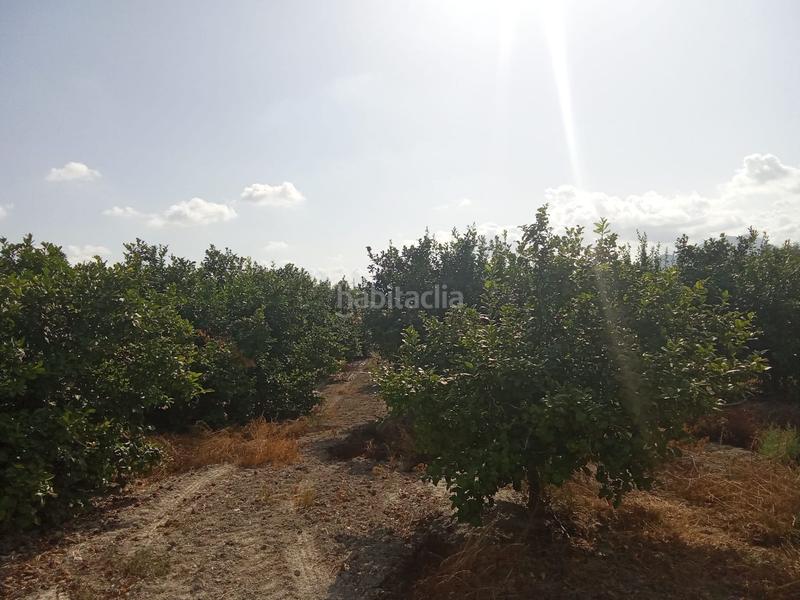 Foto 9b25c30d-763a-417f-8d62-98af6c8065a5. Finca rústica a Benferri