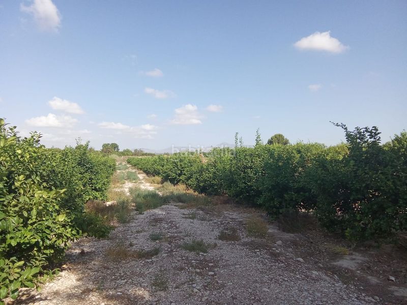 Foto a099316b-9d73-4893-97a5-f9ddbd652b08. Finca rústica a Benferri