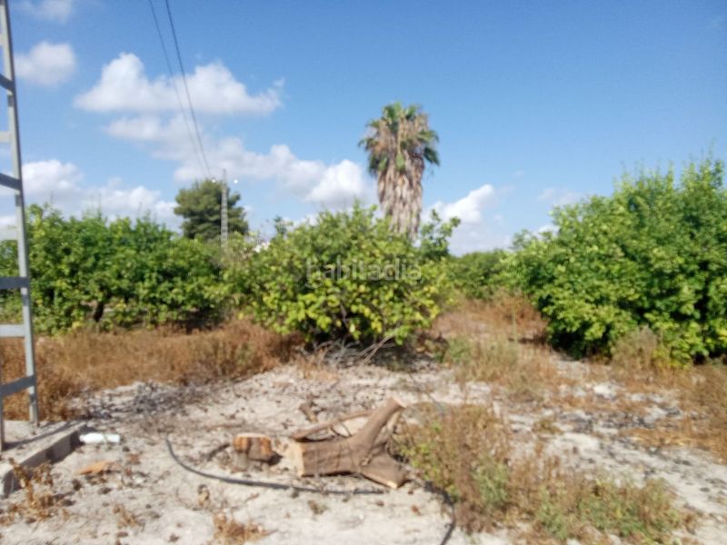 Foto a3a0383d-ffb3-42bd-a7b1-655dd833dbf7. Finca rústica a Benferri