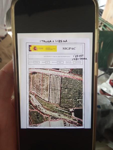 Foto af6b8059-65b2-4bae-92ad-1e8fb5f02219. Finca rústica a Benferri