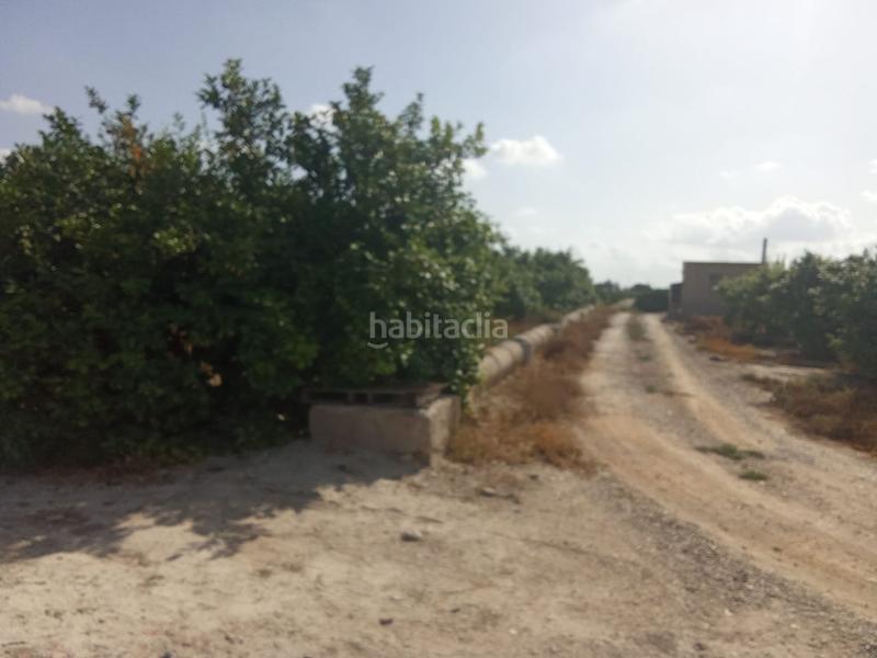 Foto b5c5ac38-5f27-4740-b24e-0b3c6446b1af. Finca rústica a Benferri