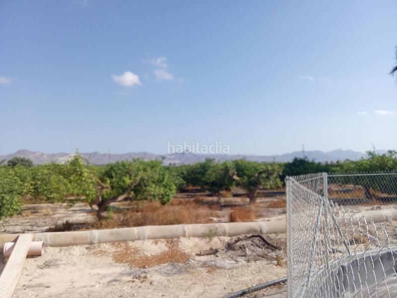 Foto bb238e22-12fa-42e9-97c2-401ce7733005. Finca rústica a Benferri