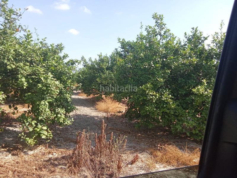 Foto c20c89b8-1e18-473a-b652-a39892e9d8c2. Finca rústica a Benferri