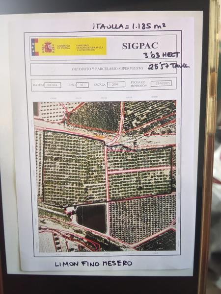 Foto c2f0ea97-e0d7-4d83-b443-e555533910f1. Finca rústica a Benferri