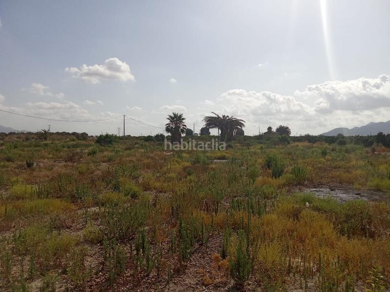 Foto d71c00d5-4ad4-4dbe-bfd9-92441383e03f. Finca rústica a Benferri