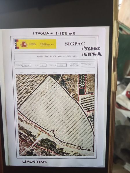Foto deb4719d-5ac5-4456-9888-d077f3872b8f. Finca rústica a Benferri