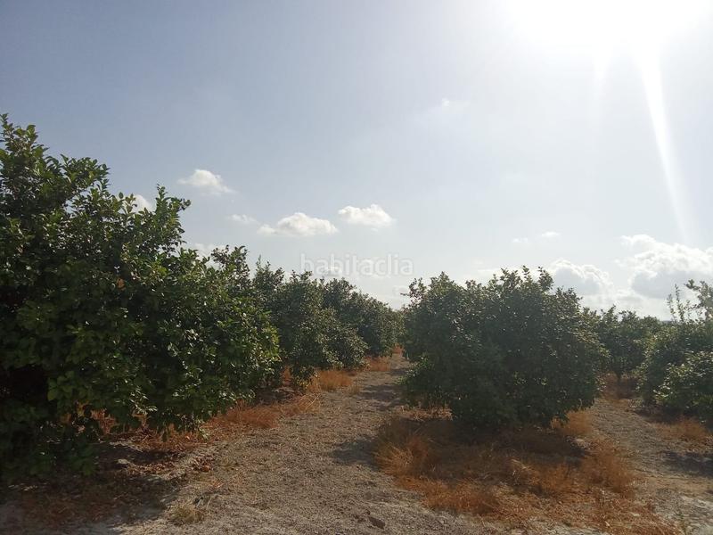 Foto fd0554b5-51c0-4ae8-a952-e996411e248f. Finca rústica a Benferri