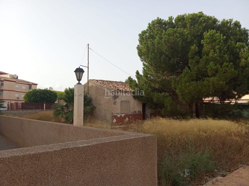 Foto a14346e4-8030-4dcf-95fe-a00431df6c3d. Mas dans Los Peñascos-El Salero-Los Imbernones San Pedro del Pinatar