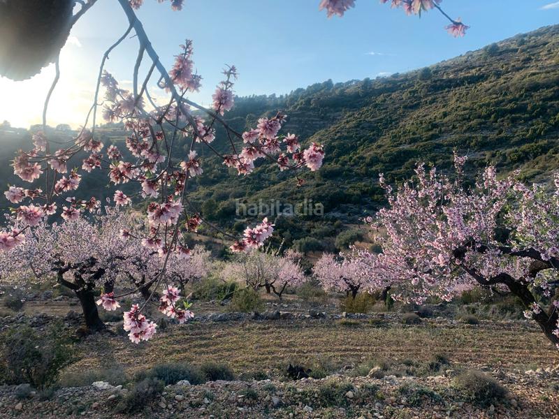 Foto 6f799978-0c52-44e8-87d3-a114d5a12863. Bauernhof mit kamin in Sierra Engarcerán