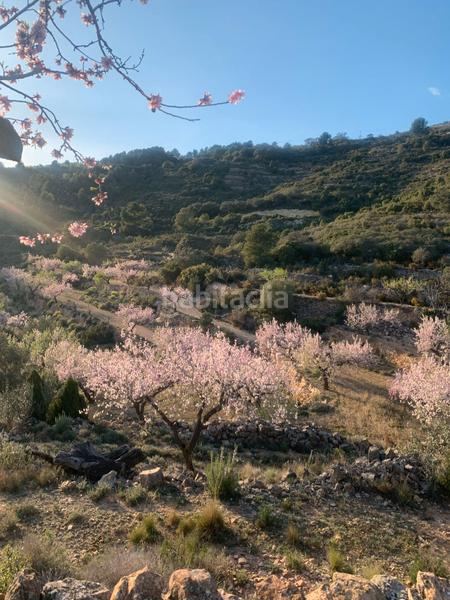 Foto cd87d23f-01c5-46f7-9bf9-0a059e690c21. Bauernhof mit kamin in Sierra Engarcerán