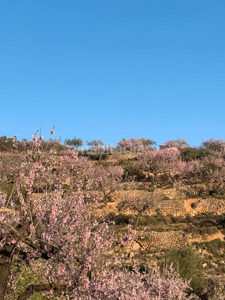 Foto e188141f-e354-4c59-b479-2a822aa3fa07. Bauernhof mit kamin in Sierra Engarcerán