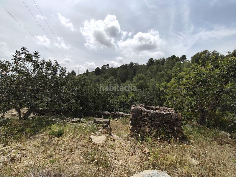 Foto e88f5b7c-c752-413c-95ed-a52b5ddbee99. Casa a Culla