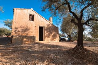 Country house in Mas de Barberans. Finca rústica de olivos con casita de aperos