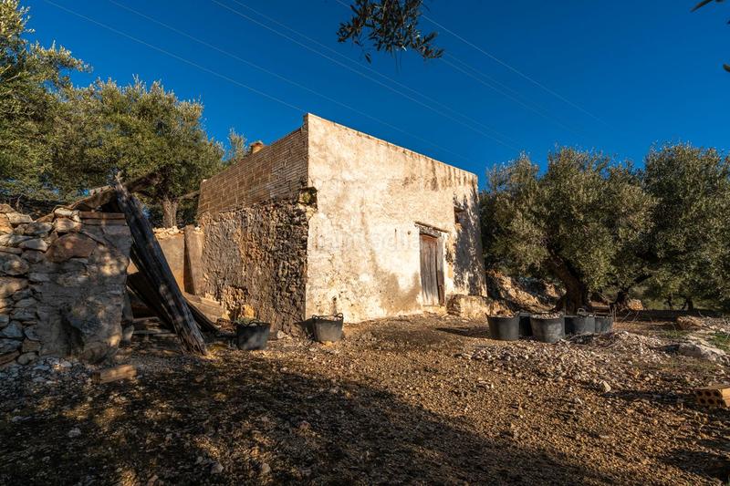 Foto 09df28b9-4cff-40c2-90ff-101b4affb83d. Propriété dans rambla felip pedrell 50 dans Centre Tortosa