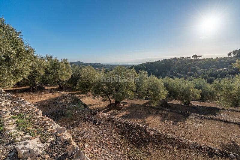 Foto 15c1d2af-c9b8-4346-99d8-8a9b9d64c395. Propriété dans rambla felip pedrell 50 dans Centre Tortosa