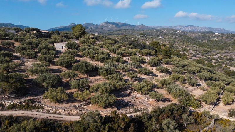 Foto 3f7d1e68-2677-4fe1-abe2-1c2966911ffb. Propriété dans rambla felip pedrell 50 dans Centre Tortosa