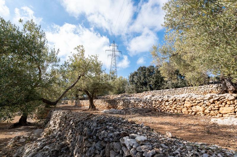 Foto 53b726a5-06d3-4968-827b-5b4508aa37b9. Propriété dans rambla felip pedrell 50 dans Centre Tortosa