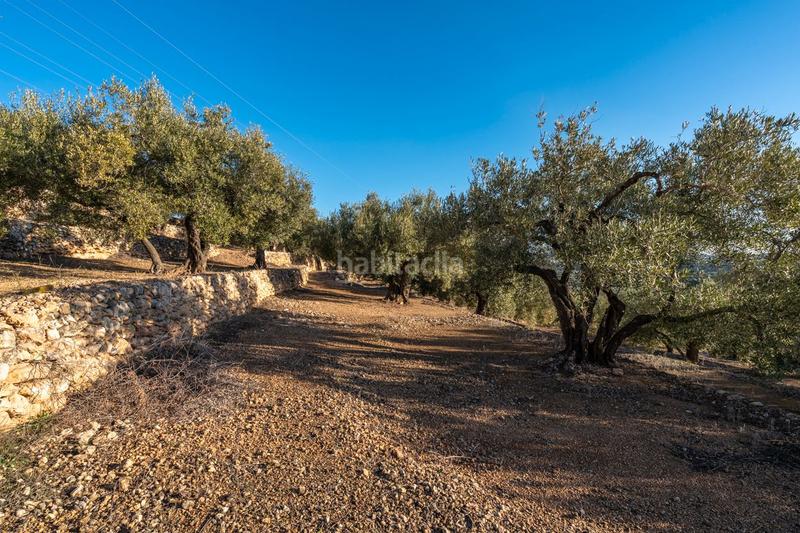 Foto 680e18d1-ed5e-470f-8242-74f6e858f6be. Propriété dans rambla felip pedrell 50 dans Centre Tortosa