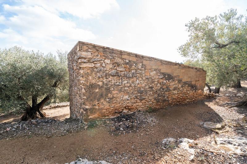 Foto 871ff84d-4a1e-473e-b977-cd8b7250fcb8. Propriété dans rambla felip pedrell 50 dans Centre Tortosa