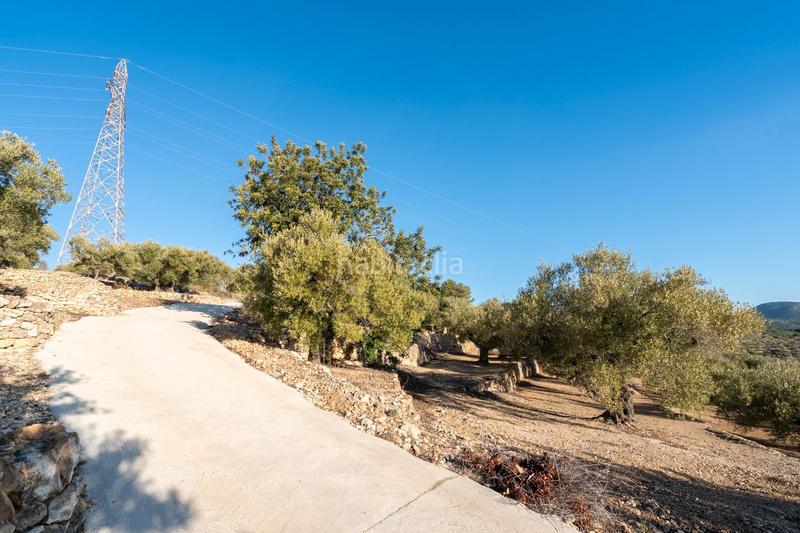 Foto ec7d3a1d-62b5-4be9-a78e-1c685a70e573. Propriété dans rambla felip pedrell 50 dans Centre Tortosa