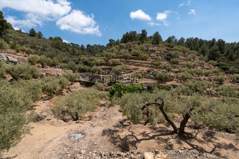 Foto 12f202bc-87fd-4ffc-91c6-20014fd3cea7. Country house in rambla felip pedrell 50 in Centre Tortosa