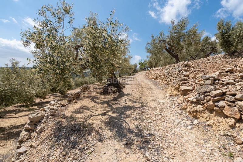 Foto 2c7a87a3-8109-4128-ad5f-b4c5b73b284f. Country house in rambla felip pedrell 50 in Centre Tortosa