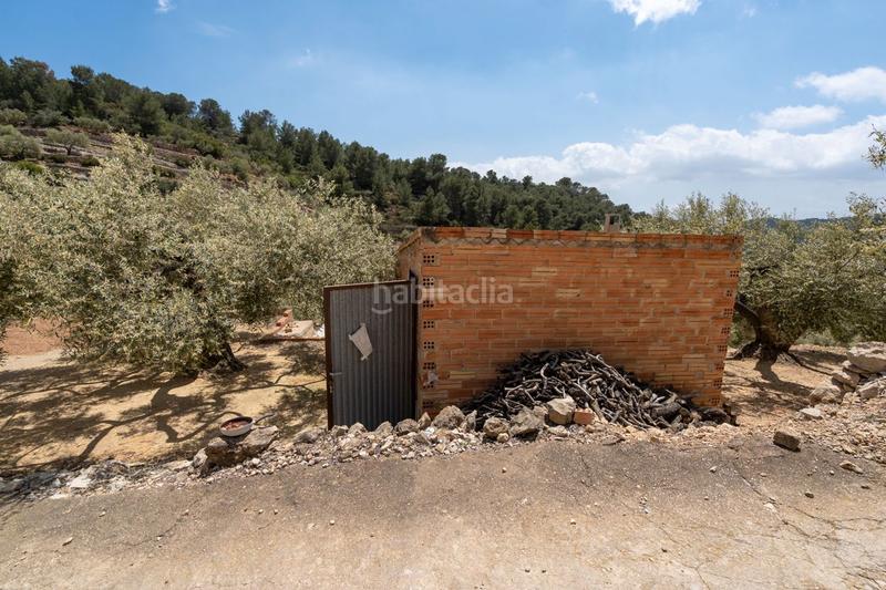 Foto b47ddc43-a286-4256-931e-5b3f80eff958. Country house in rambla felip pedrell 50 in Centre Tortosa