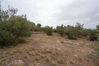 Rural plot in Xerta. Finca rústica sin ninguna edificación y buen acceso