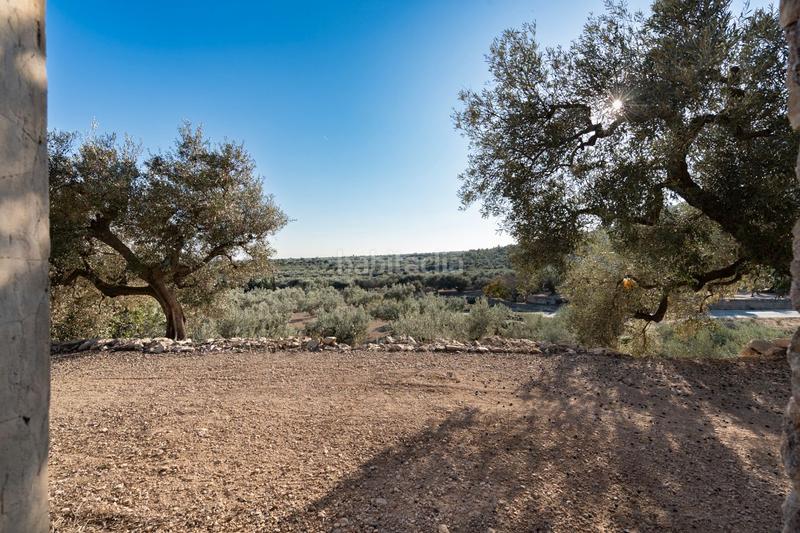 Foto 13670988-07e6-4f13-8bb7-47719b334fa8. Propriété dans carretera tortosa 3 dans Mas de Barberans