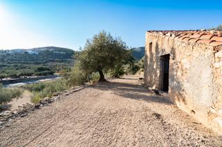 Finca rústica a Carretera tortosa 3. Finca rústica muy cerca de la población y bonitas vistas