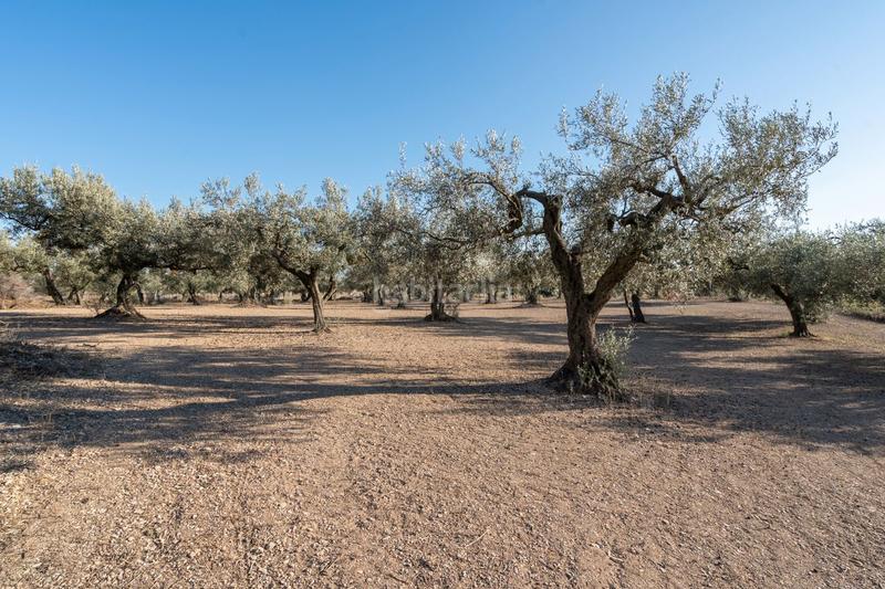Foto 6eeb93f1-cdb3-4d9e-9a18-f85862e19ab6. Propriété dans carretera tortosa 3 dans Mas de Barberans