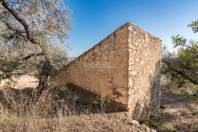 Foto 789af93d-d48c-47c8-b58e-57451185f473. Propriété dans carretera tortosa 3 dans Mas de Barberans