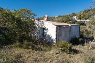 Finca rústica en Avinguda terres de l'ebre. Finca rústica de olivos con casa de campo